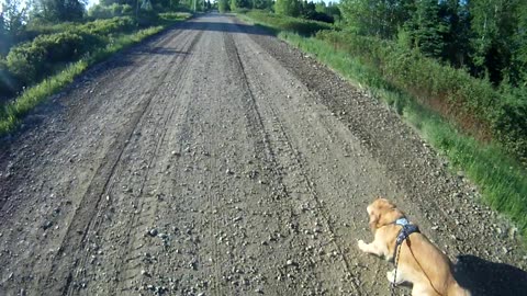 May31st, 41º beautiful Maine morning.