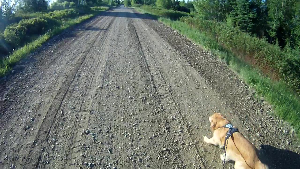 May31st, 41º beautiful Maine morning.
