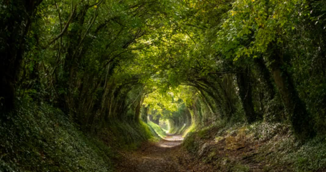 Grace Saves All: Ep:13 - The Inclusive/Christian Universalist Approach To Grace