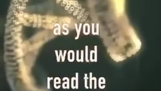 Your DNA holds a Mystery message