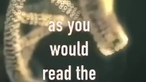 Your DNA holds a Mystery message