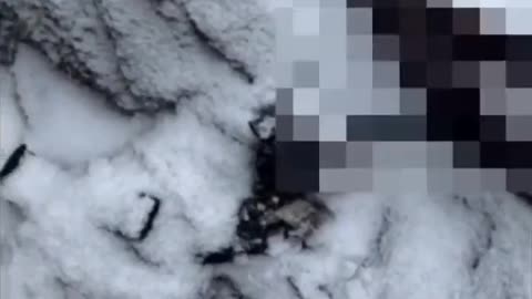 Footage from an American in Ukraine