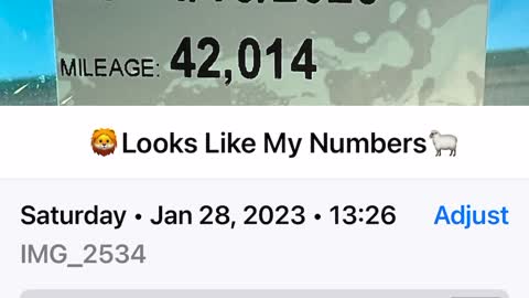 🎼🦁❤️❤️🫥❤️❤️🦁🎼