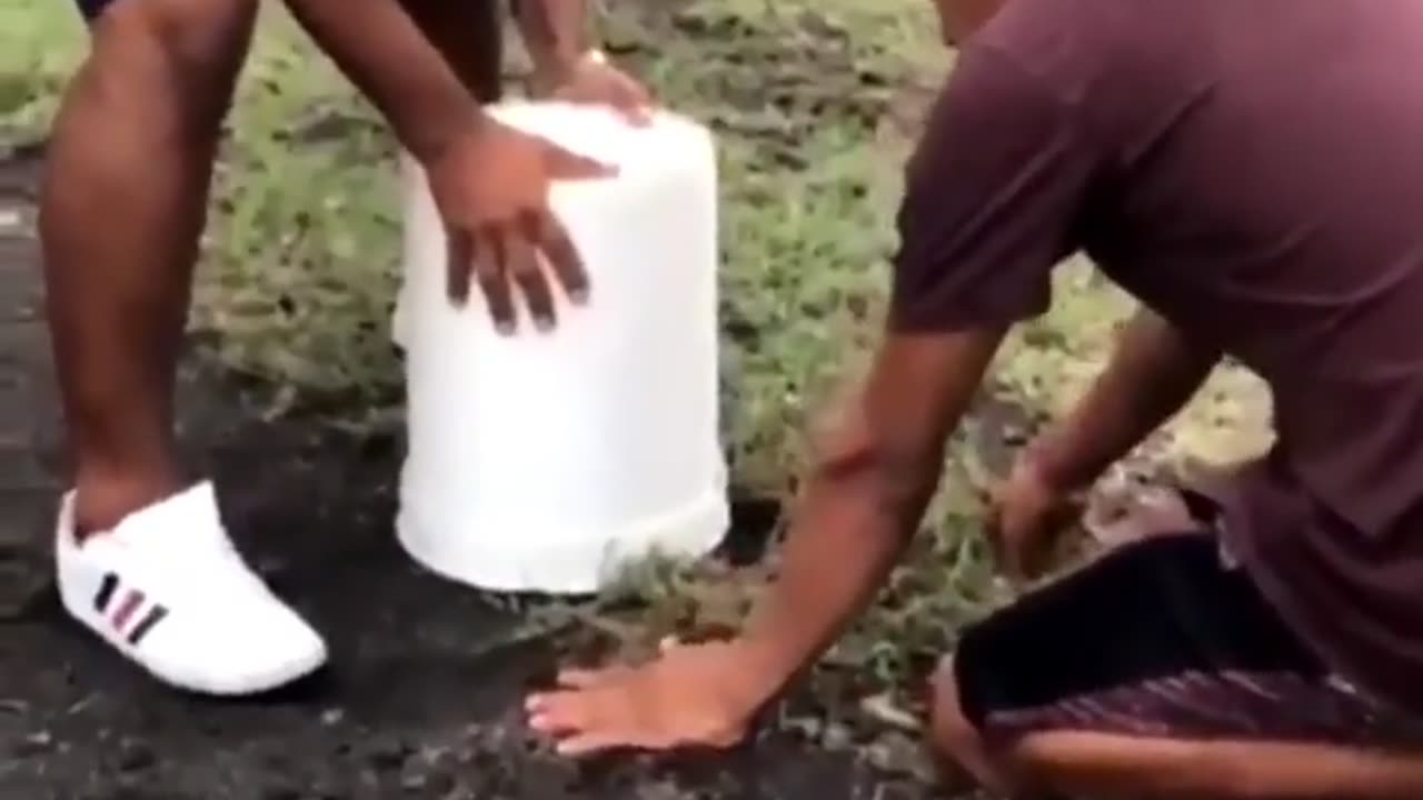 Funny people, guys get ready to lift the bucket to grab what they captured