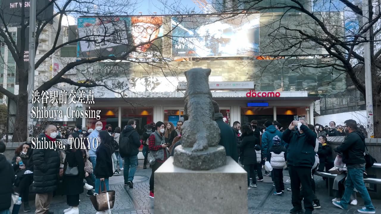 Walking in Tokyo - Shibuya Scramble Crossing