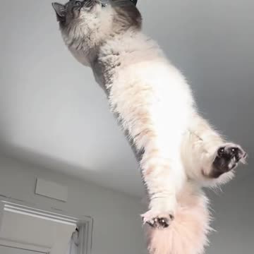 Something tells me the ending was unpleasant