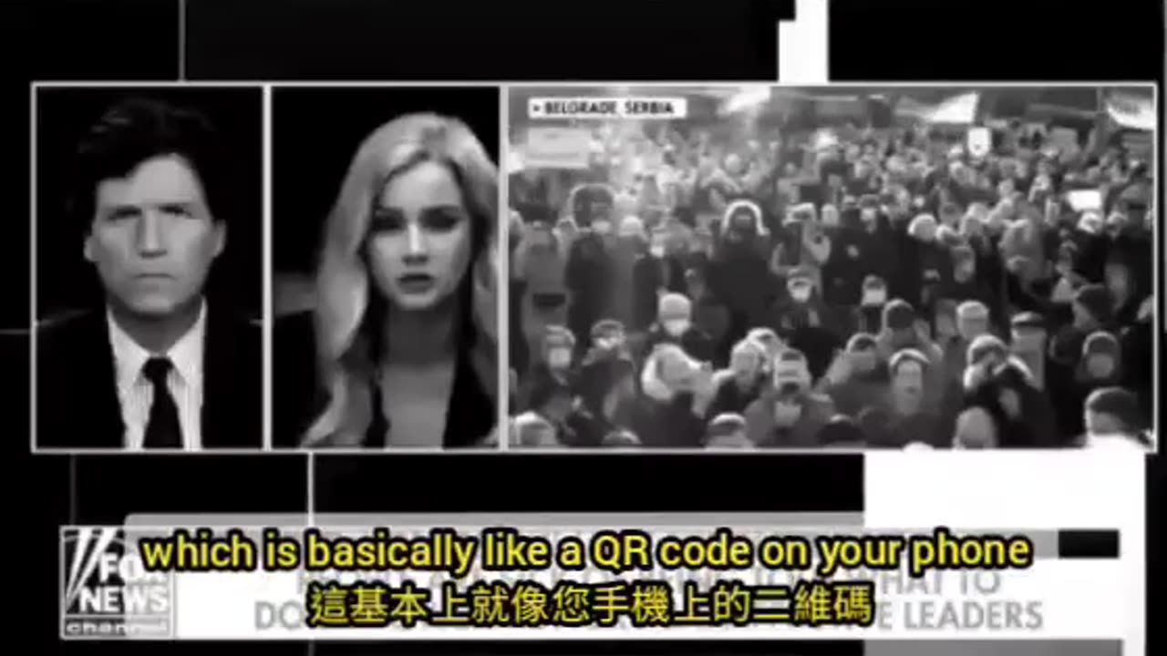 Eva Vlaardingerbroek是荷蘭律師,評論家和調查記者, 曾被Tucker Carlson採訪。