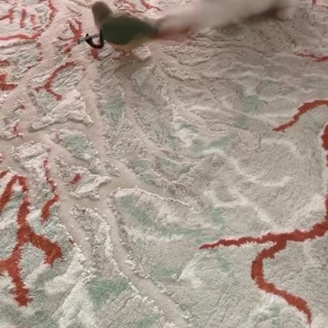 The Art of Flight: Birds on Canvas