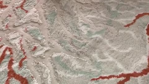 The Art of Flight: Birds on Canvas