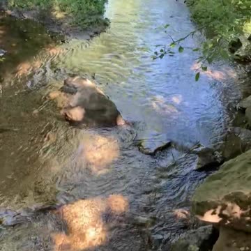 Just a lazy little stream