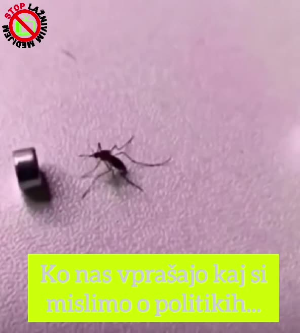 Kakšno pa je vaše mnenje o politikih? Delajo za ljudi, ki so jih izvolili? Napiši nam v komentarju!