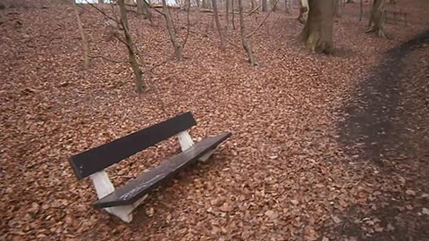 Pålsjö skog, Helsingborg 6 Mars 2014