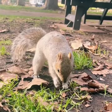 Don't believe your lying eyes