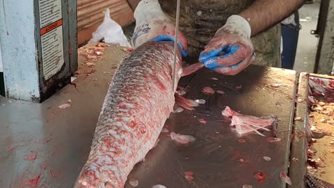 Big Mrigal Fish Fast Cutting By Machine In Fish Market l Amazing Cutting Skills