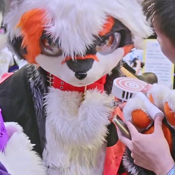 Repair Advanced Lollipop