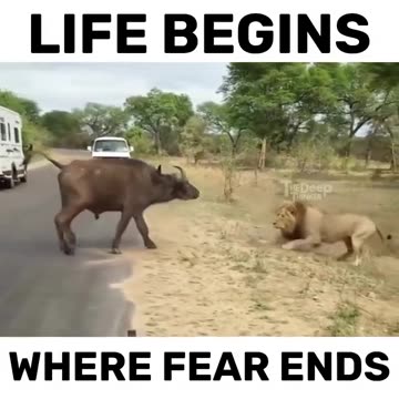 Fear is The Silent Killer Of Success #shorts #shortvideo #video #virals #videoviral