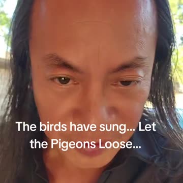 Gene Ho - The birds have sung, Let the pigeons loose