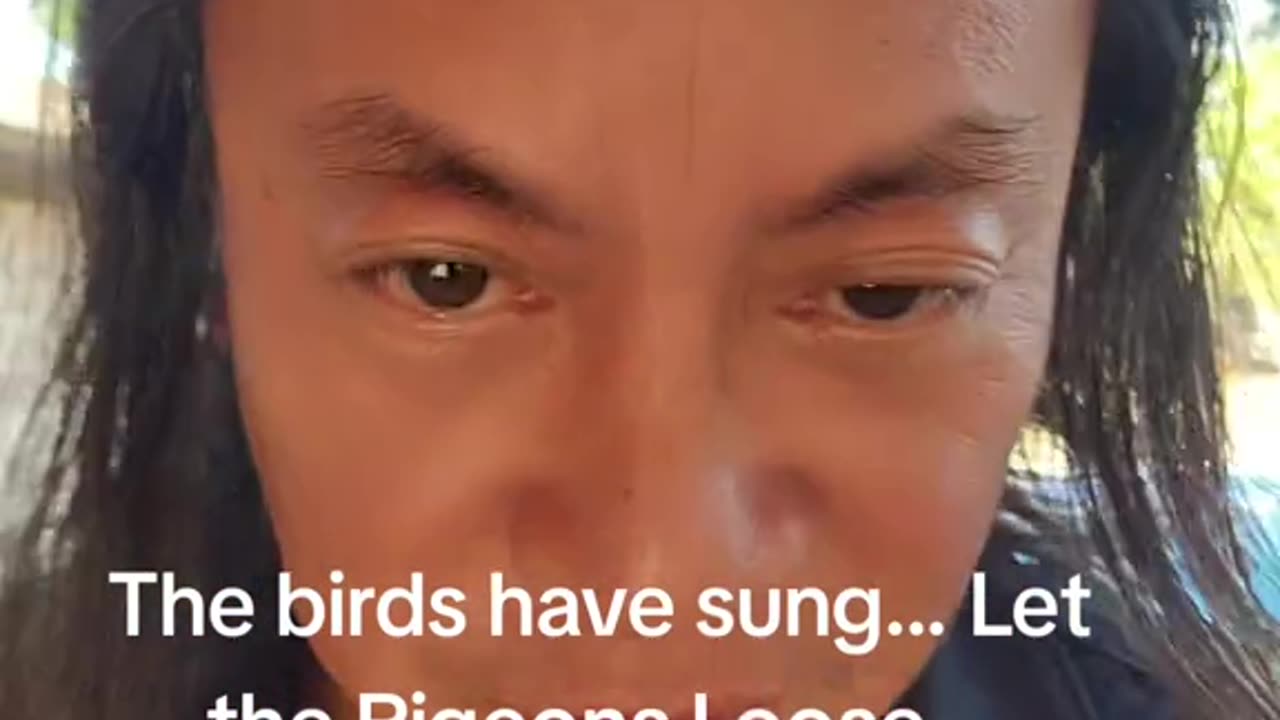 Gene Ho - The birds have sung, Let the pigeons loose