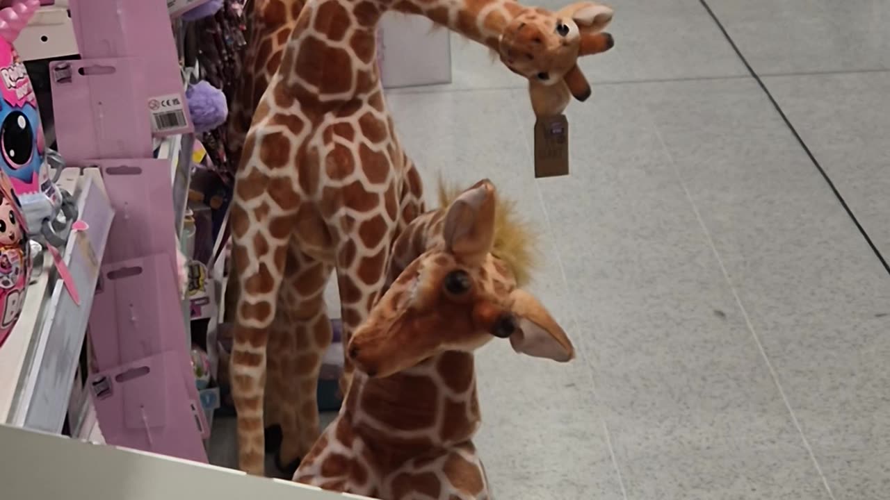 Giraffe Toy Gives Judgmental Head Tilt