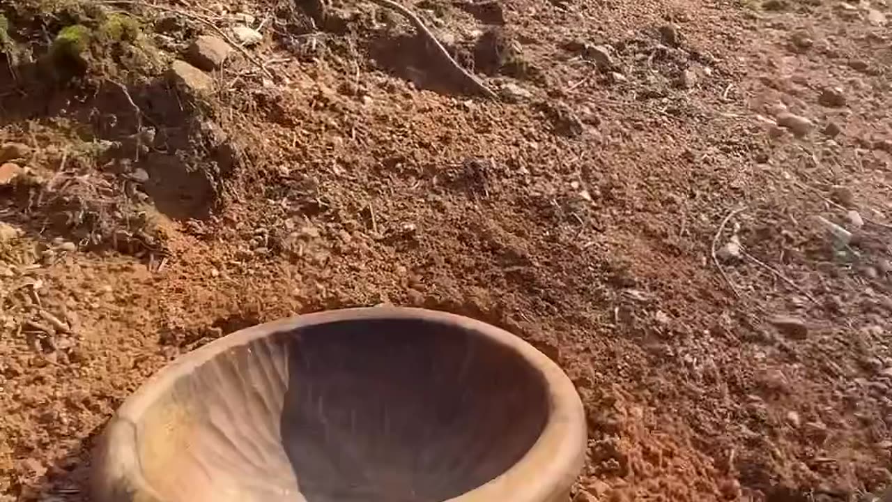 Cooking rice with anchovies on bricks in winter camping