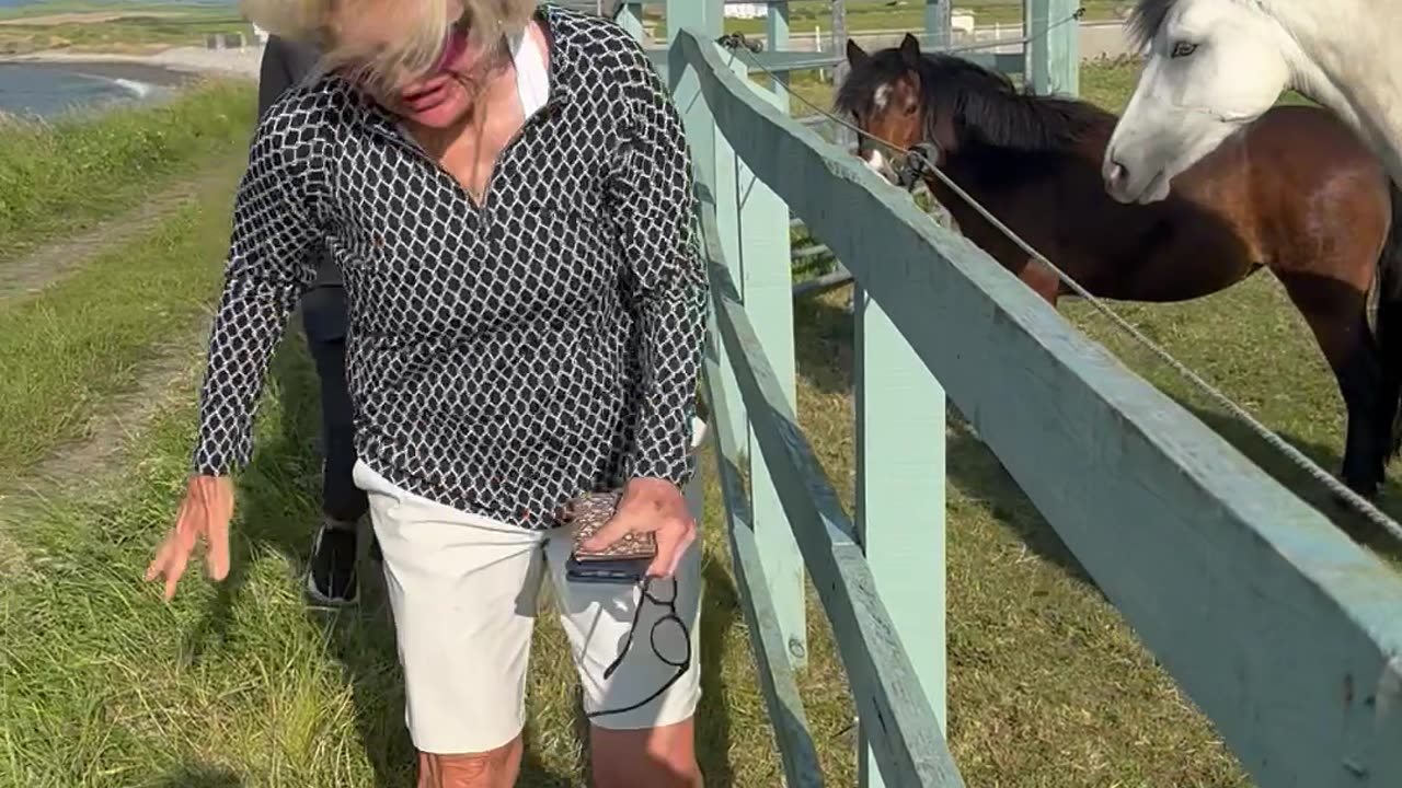 Barb Touches an Electric Fence