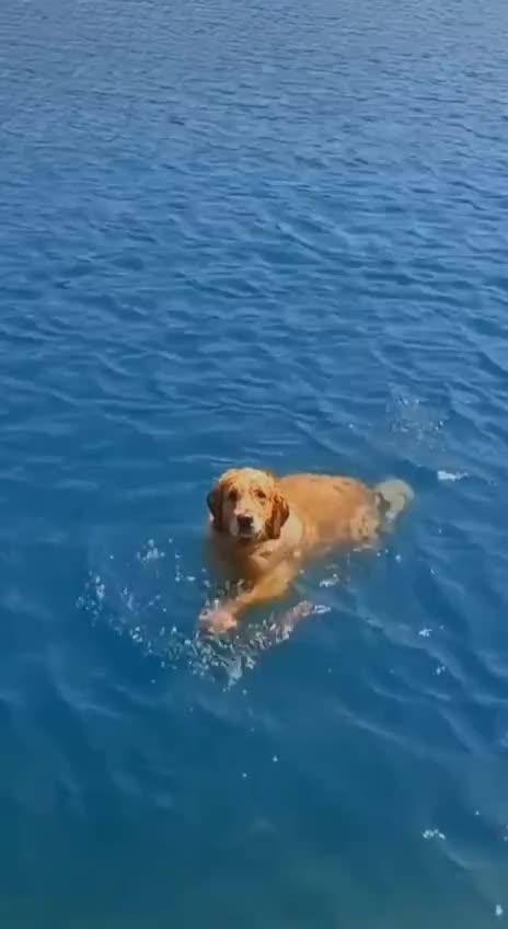 Jump in the water is awesome 😊