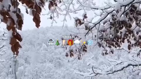 Soon it will be like this again💖☃️🎄🕯️ Merry christmas 2025