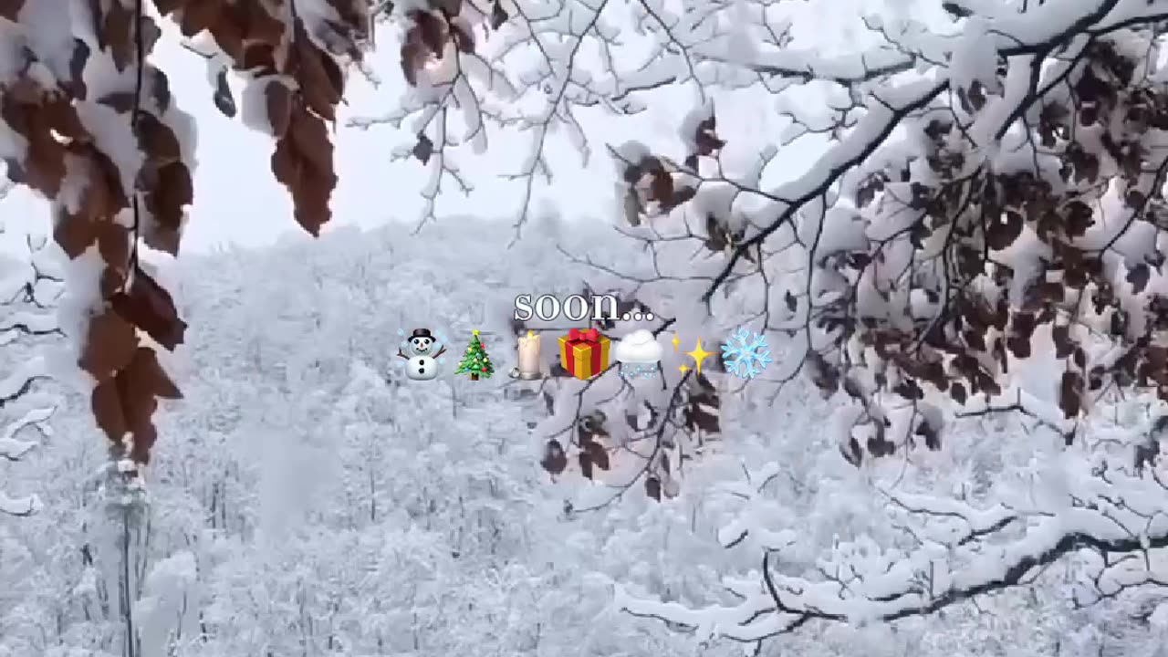 Soon it will be like this again💖☃️🎄🕯️ Merry christmas 2025