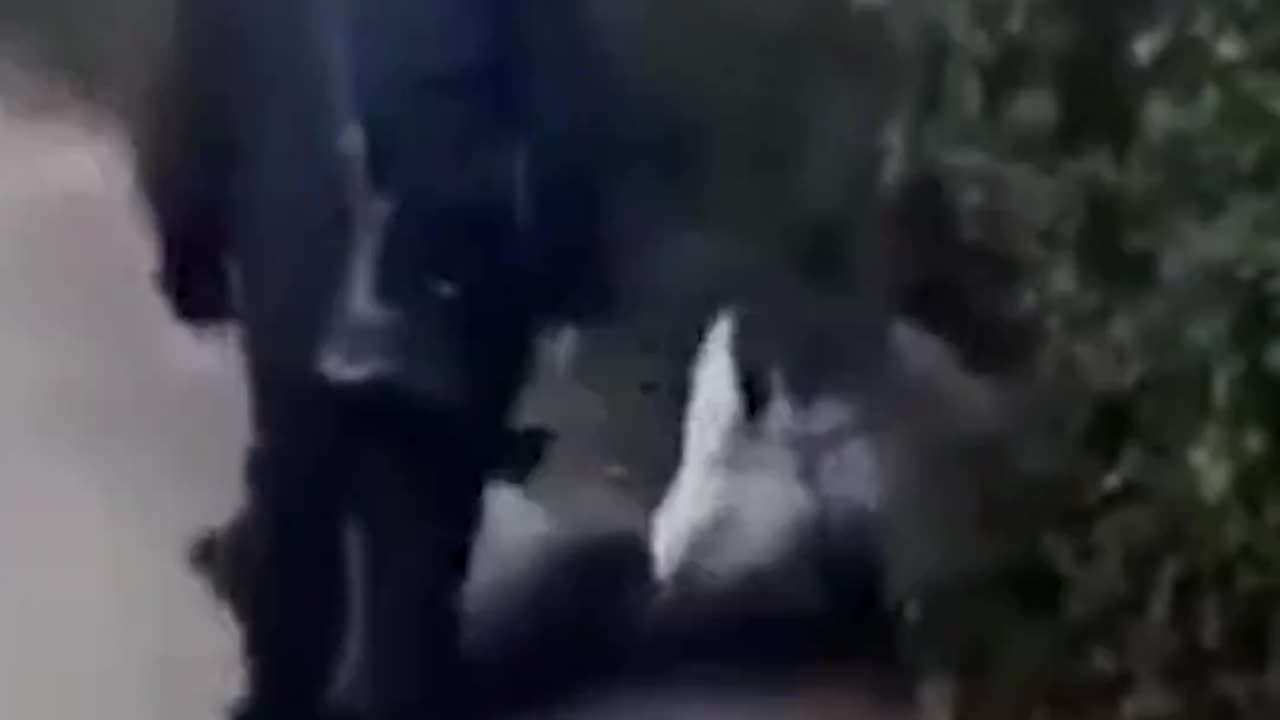 Illegal Aliens Attack Citizen