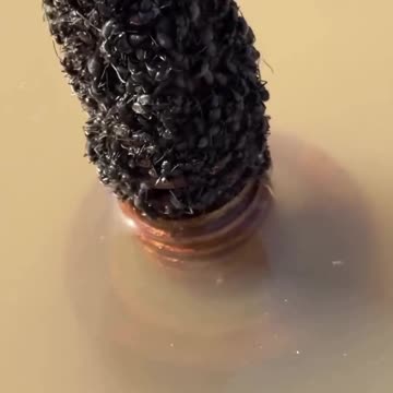 The water level rose 12 cm above the critical level (8.5 m)