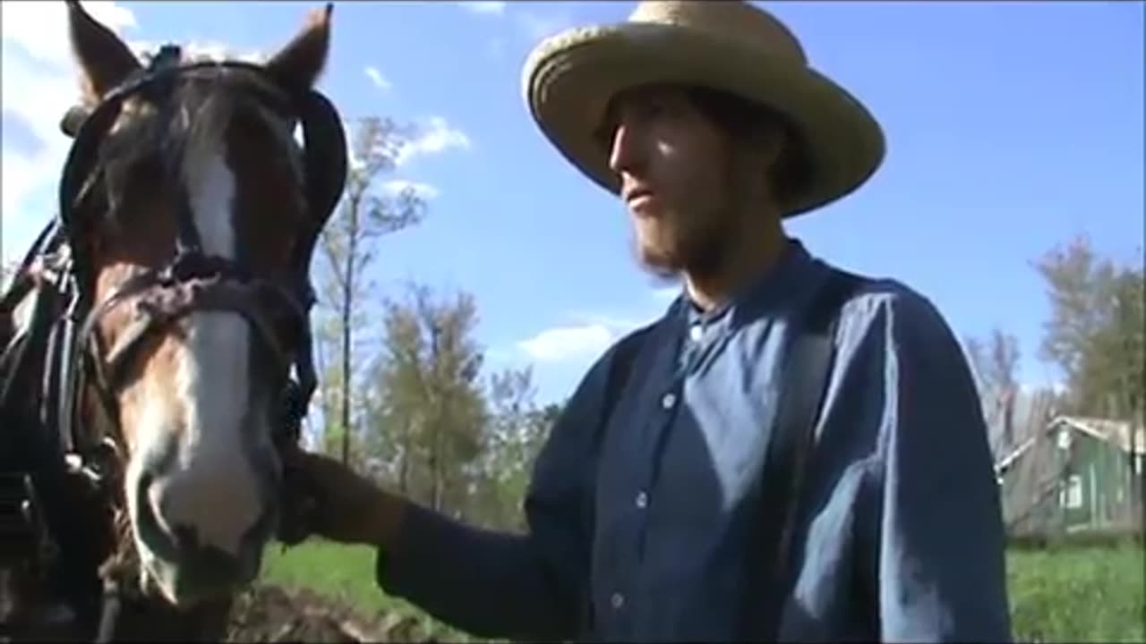 Gardening with Horses - Plow and Disk | Titus Morris