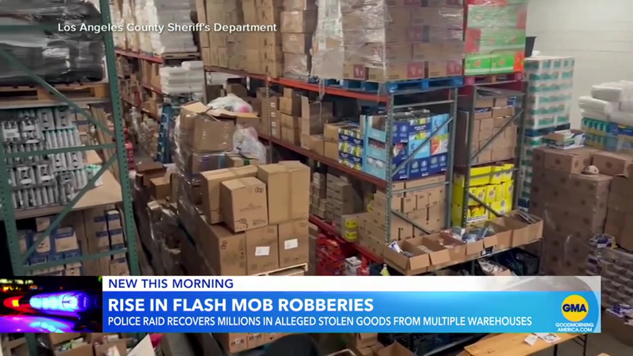 Millions of dollars of allegedly stolen goods recovered