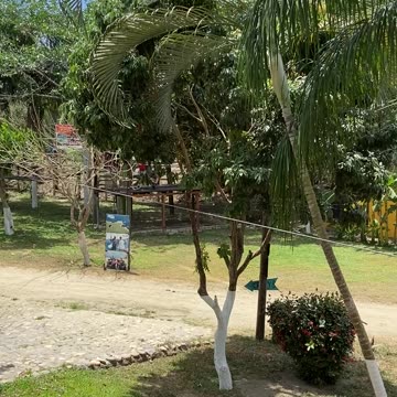 Zip lining in Mexico!