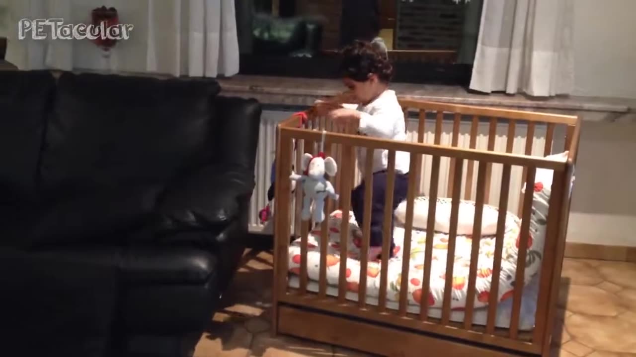 Funny baby videos to brighten your day