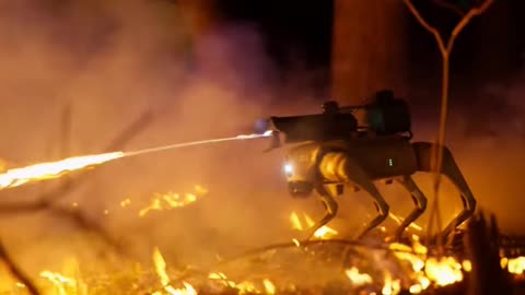 Shorts - Stock Up On Extinguishers