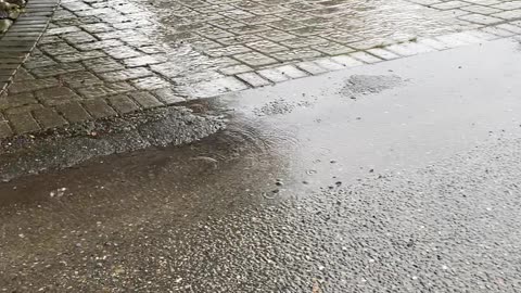 Before Berm - rain washes down driveway