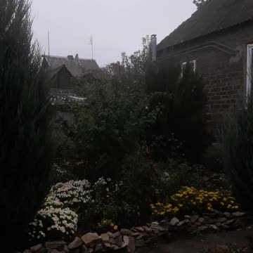 Garden on a cloudy day