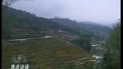 抗旱記 2010年 哈尼梯田的防旱啟示