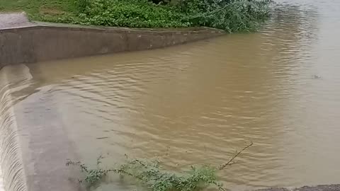 #Heavy 🌧😳-overflowing bank