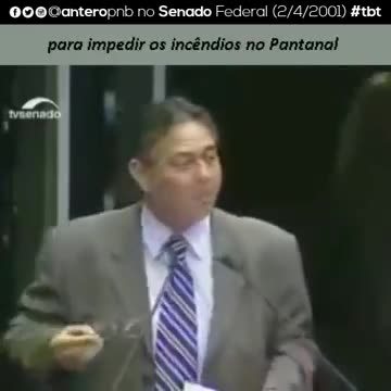 O boi não precisa do Pantanal, mas o Pantanal precisa do boi - (2001)