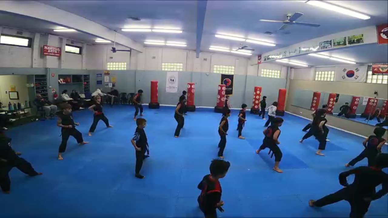 Hapkido