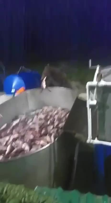 Just picking up my daily ration 🤣