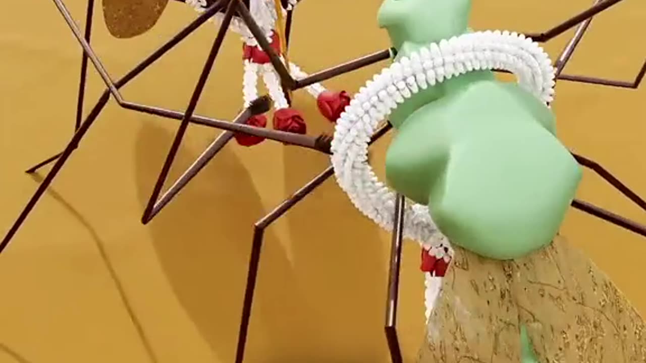 HOW DO MOSQUITOES BREED?