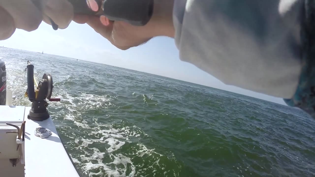 Catching Spanish Mackerel Off the Jetties