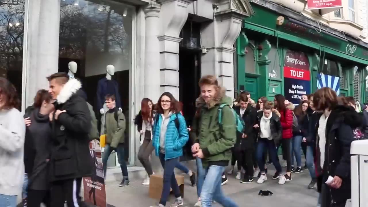 Spider Coming out of the Box: Prank in Ireland