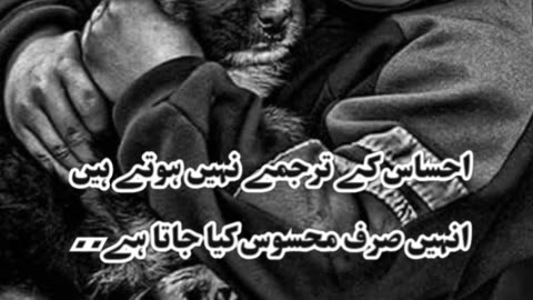 Motivation quotes