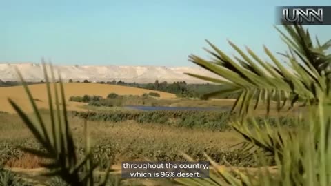 Did you know Egypt is using wastewater to grow forests in the desert?