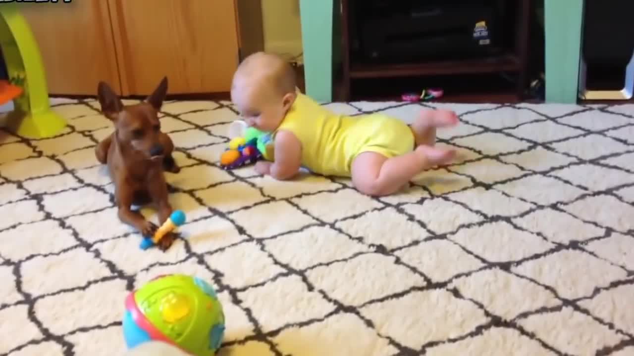 Cute Dog with a baby