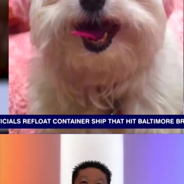 Pet Cloning Is REAL And Available NOW