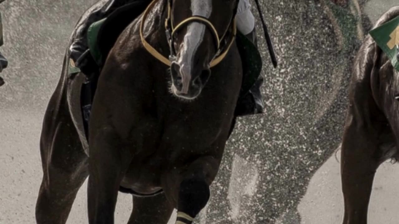 Kentucky Derby Place your Bets!